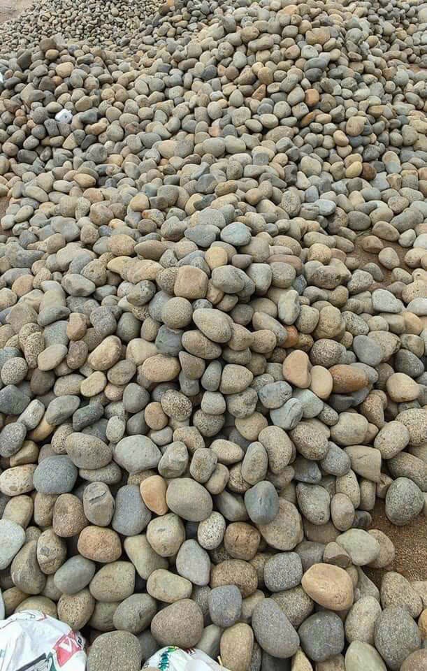 Đá cuội sông 