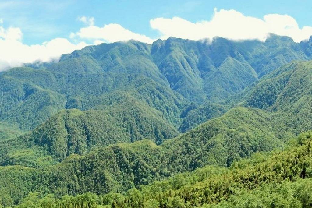 Hoang Lien National Park