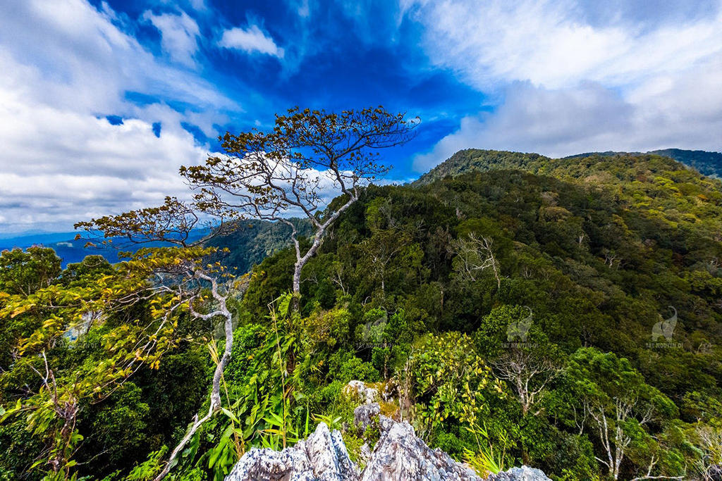 Kon Ka Kinh National Park