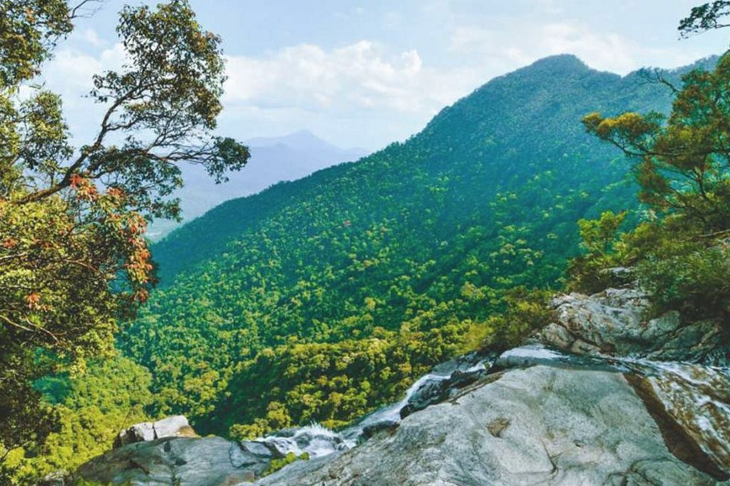 Bach Ma National Park