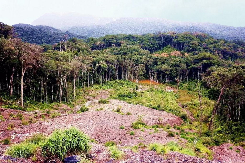 Bidoup Nui Ba National Park