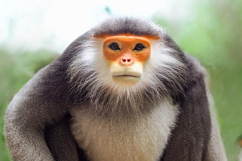 Cuc Phuong National Park
