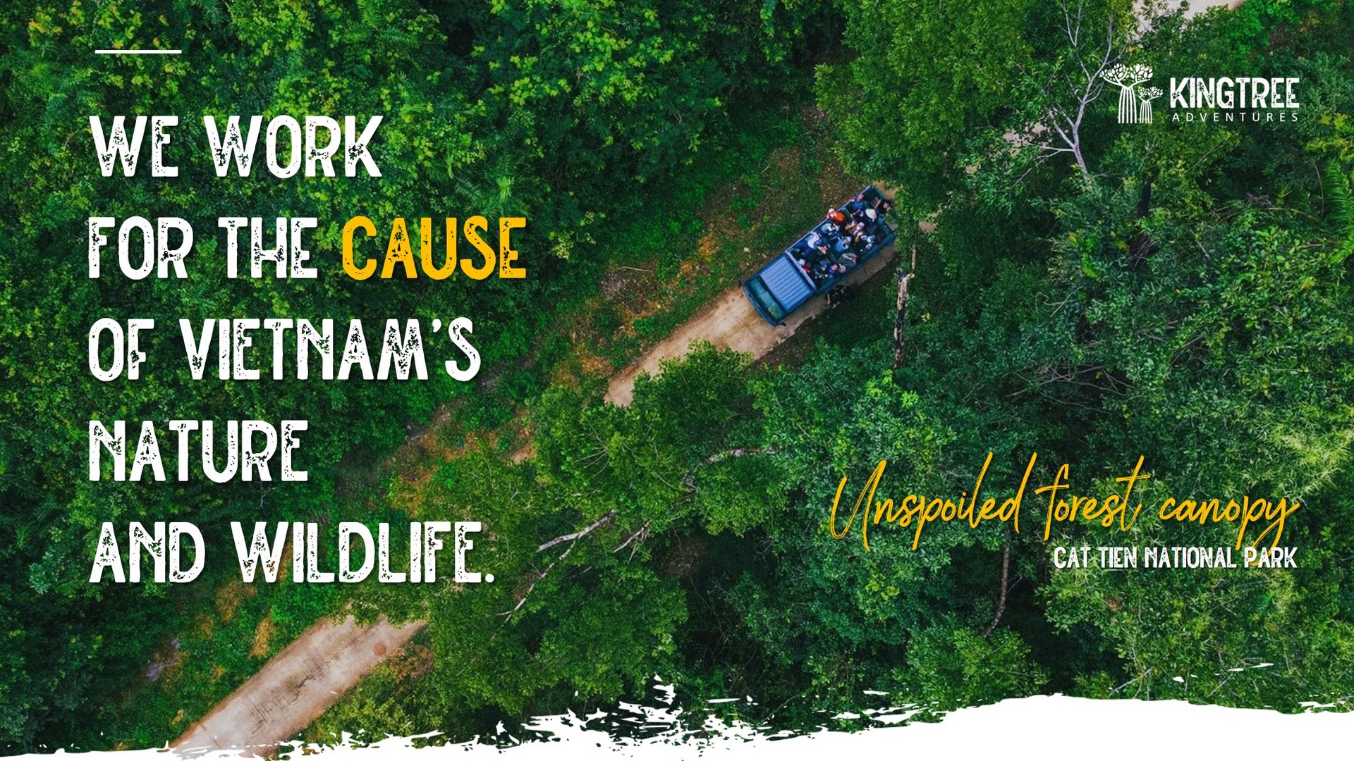 Primeval forest in Cat Tien NP