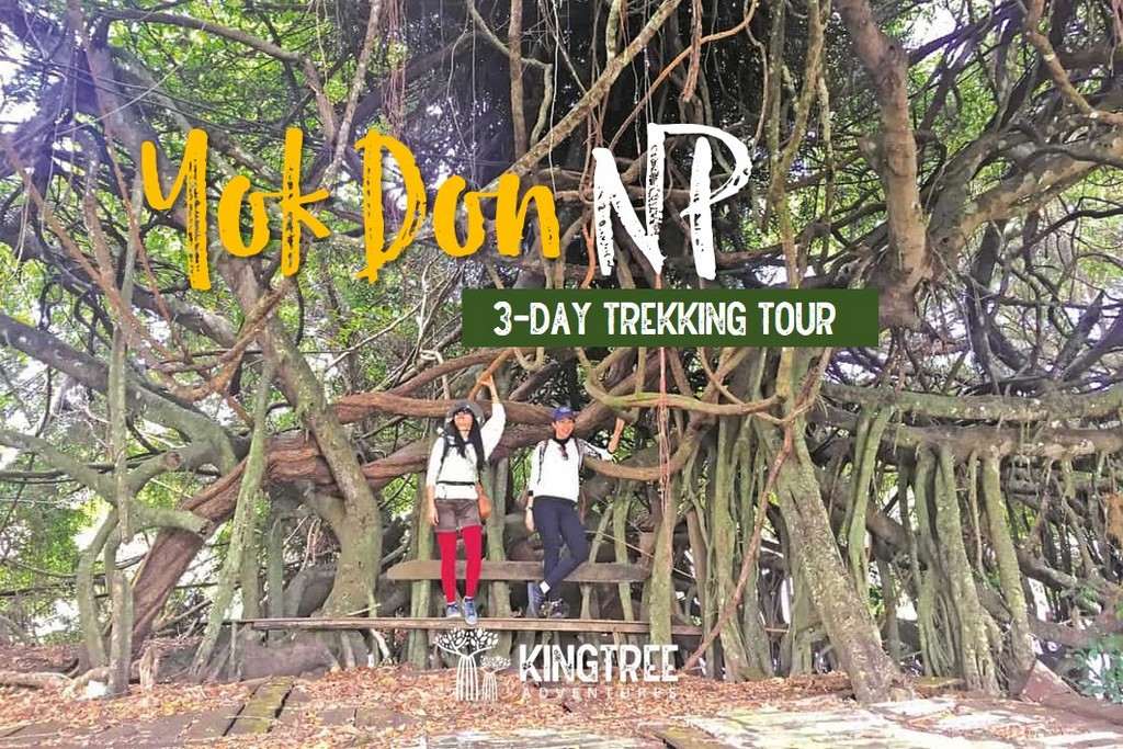 3-day Yok Don NP Discovery