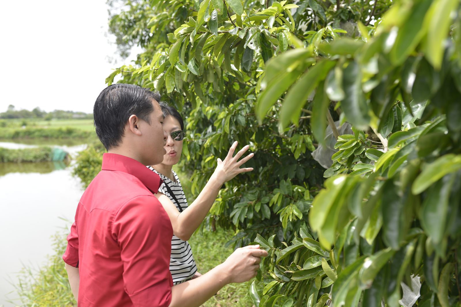 Thuận Thiên Thành Tiếp đón Khách hàng Singapore....