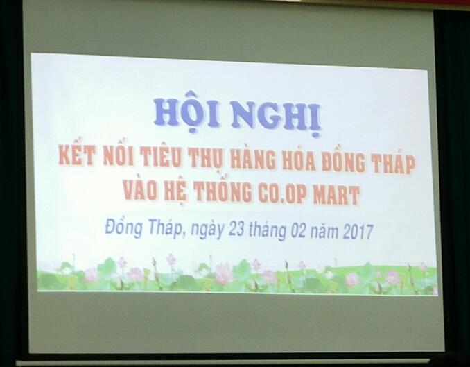 MÃNG CẦU XIÊM THUẬN THIÊN THÀNH HỘI NGHỊ triển khai đưa sản phẩm .....