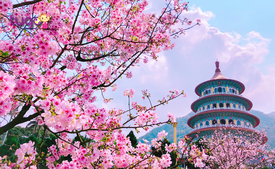 Du lịch Đài Loan Đài Bắc - Đài Trung - Cao Hùng