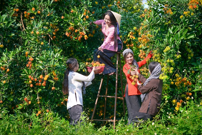 Top Những Điểm Du Lịch Tại Đồng Nai