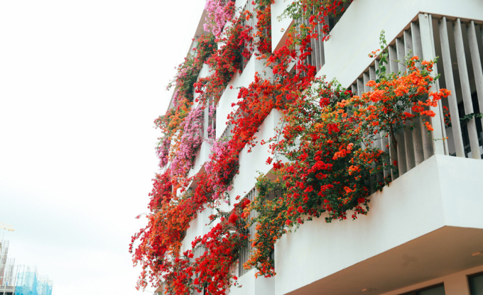 University building covered with flowers