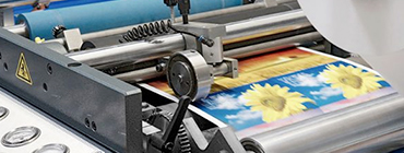 IN ẤN (OFFSET/ FLEXO)