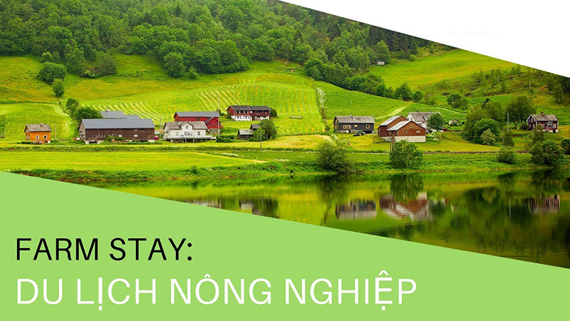Du lịch nông trại: Điểm đến yêu thích của người thành phố