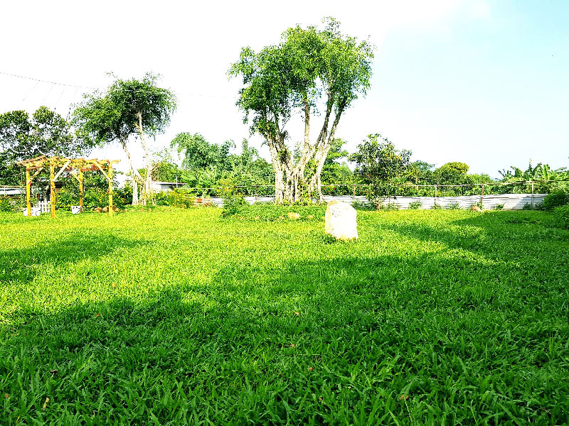 Cắm trại cuối tuần tại Mini Farm Stay có gì HOT ?