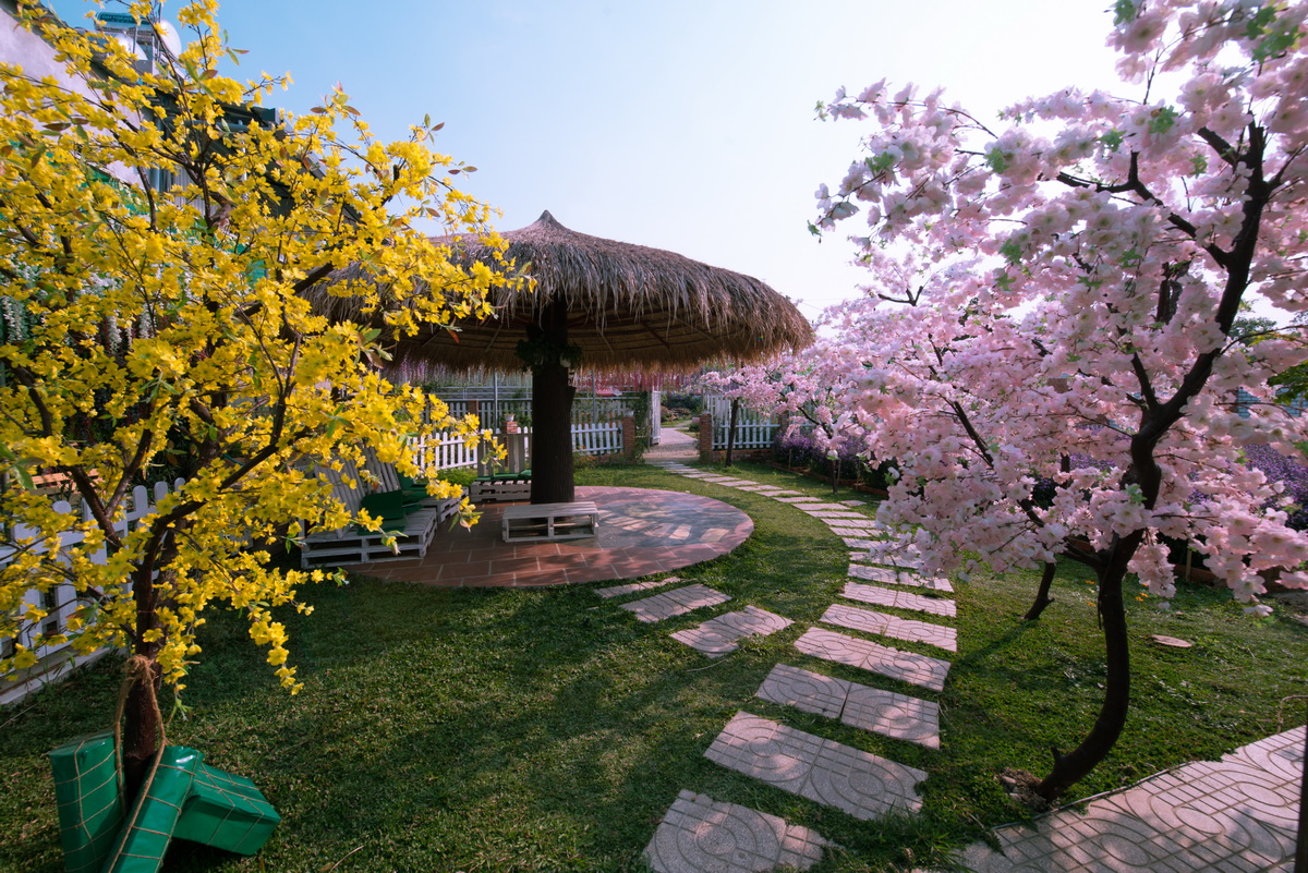 Một thoáng mộng mơ
