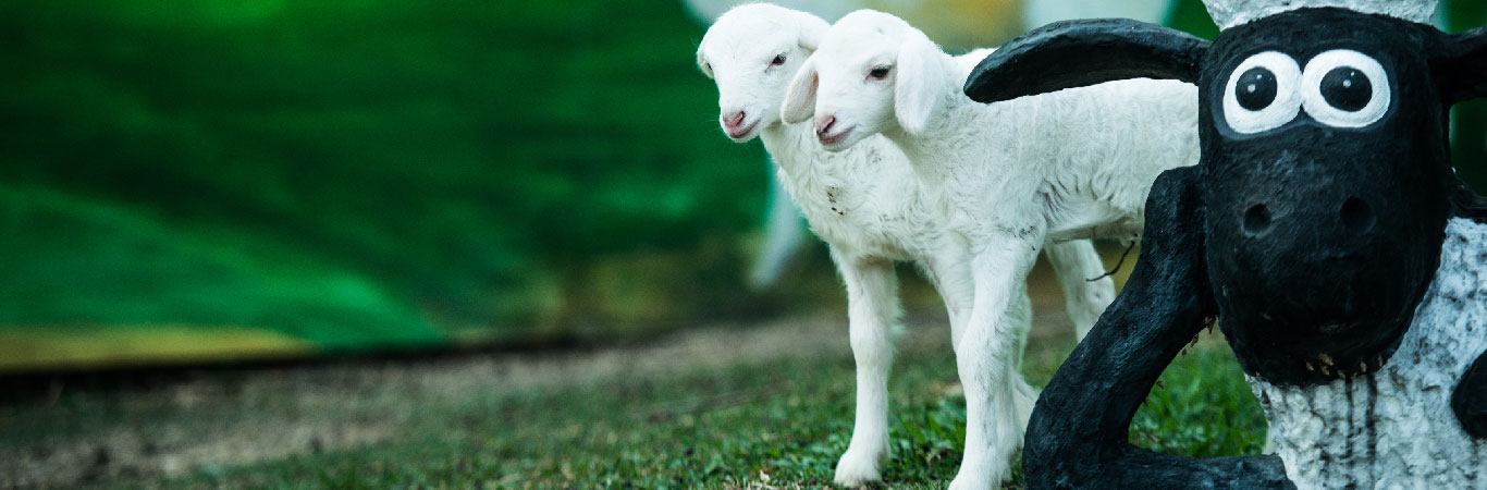 mini farm suối nghệ