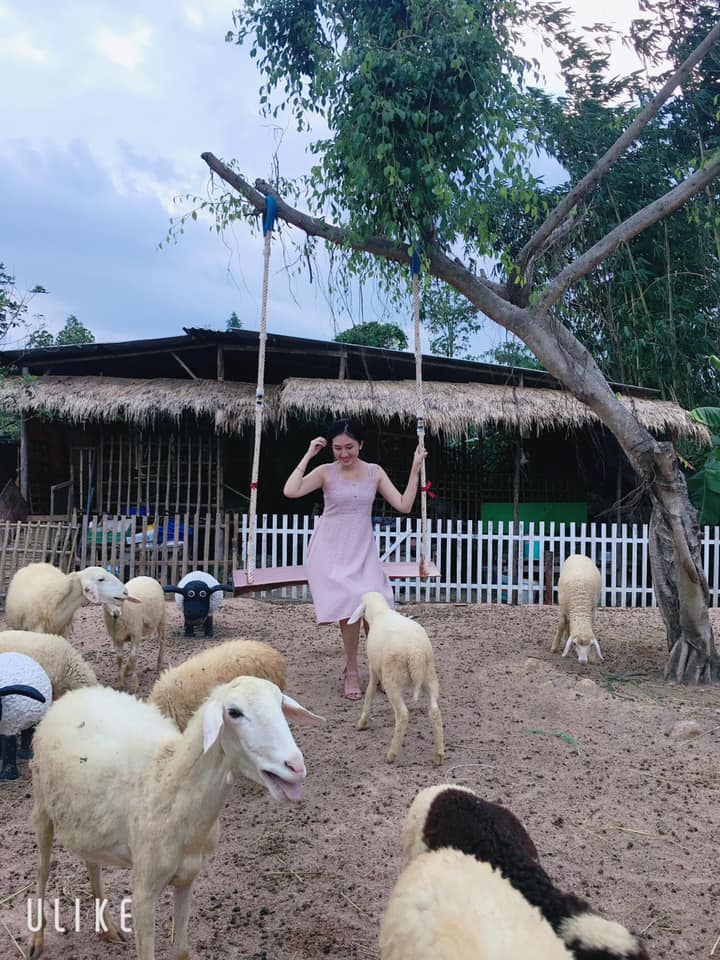 cuu-mini-farm-suoi-nghe-101