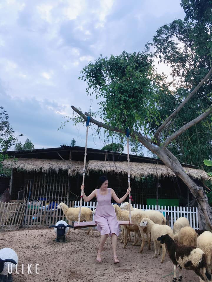 cuu-mini-farm-suoi-nghe-13