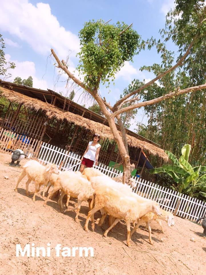 cuu-mini-farm-suoi-nghe-21