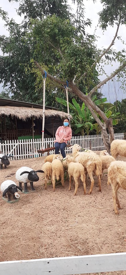 cuu-mini-farm-suoi-nghe-31
