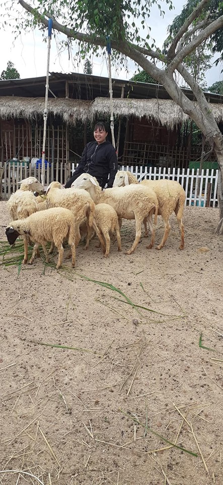 cuu-mini-farm-suoi-nghe-51