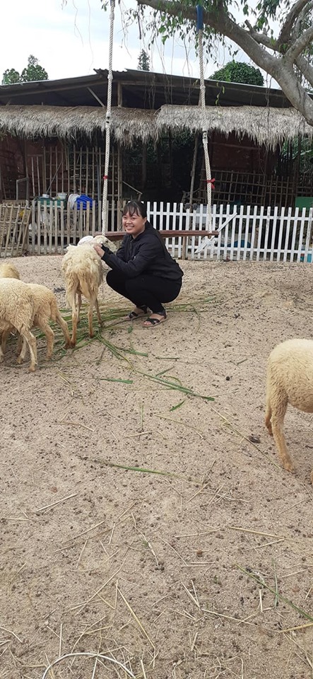 cuu-mini-farm-suoi-nghe-61
