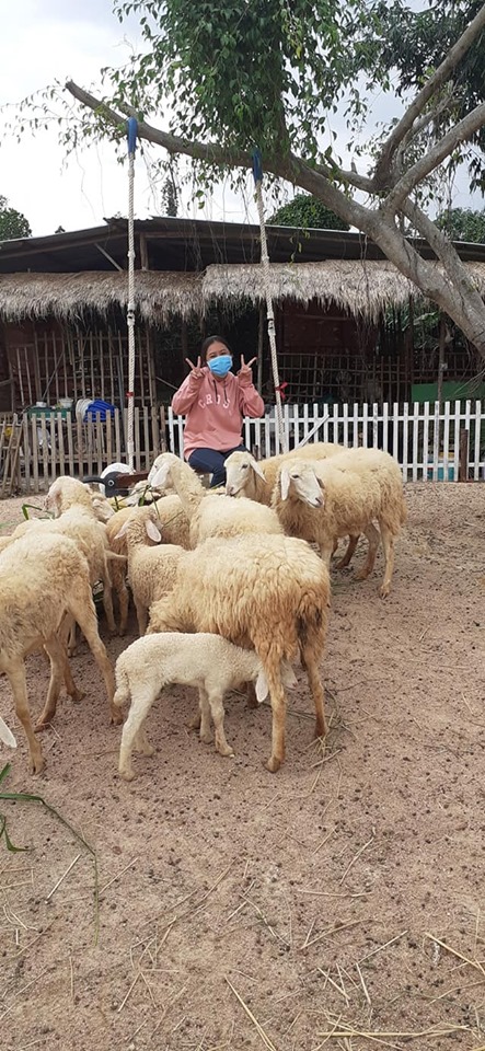 cuu-mini-farm-suoi-nghe-71