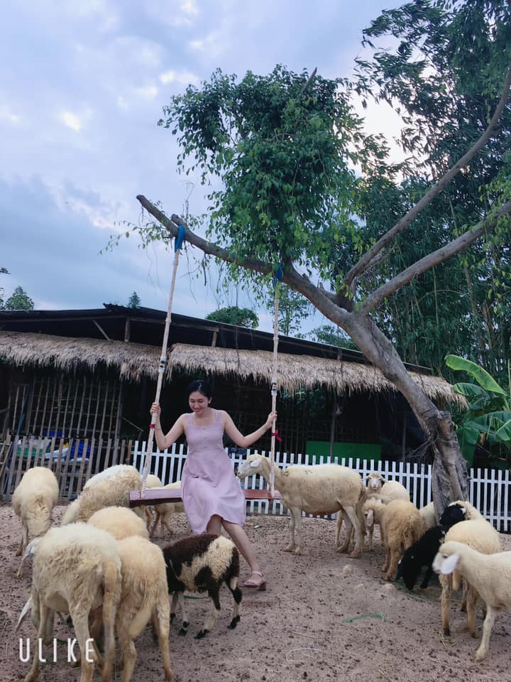 cuu-mini-farm-suoi-nghe-81