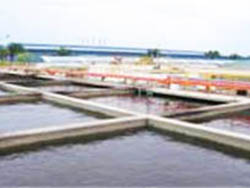 Cty thủy sản Hùng Vương