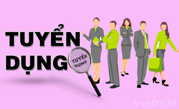 TUYỂN DỤNG THÁNG 06/2020