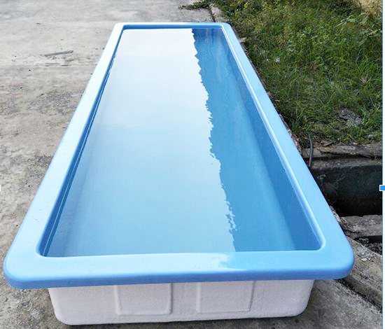 Bể composite nuôi cá  