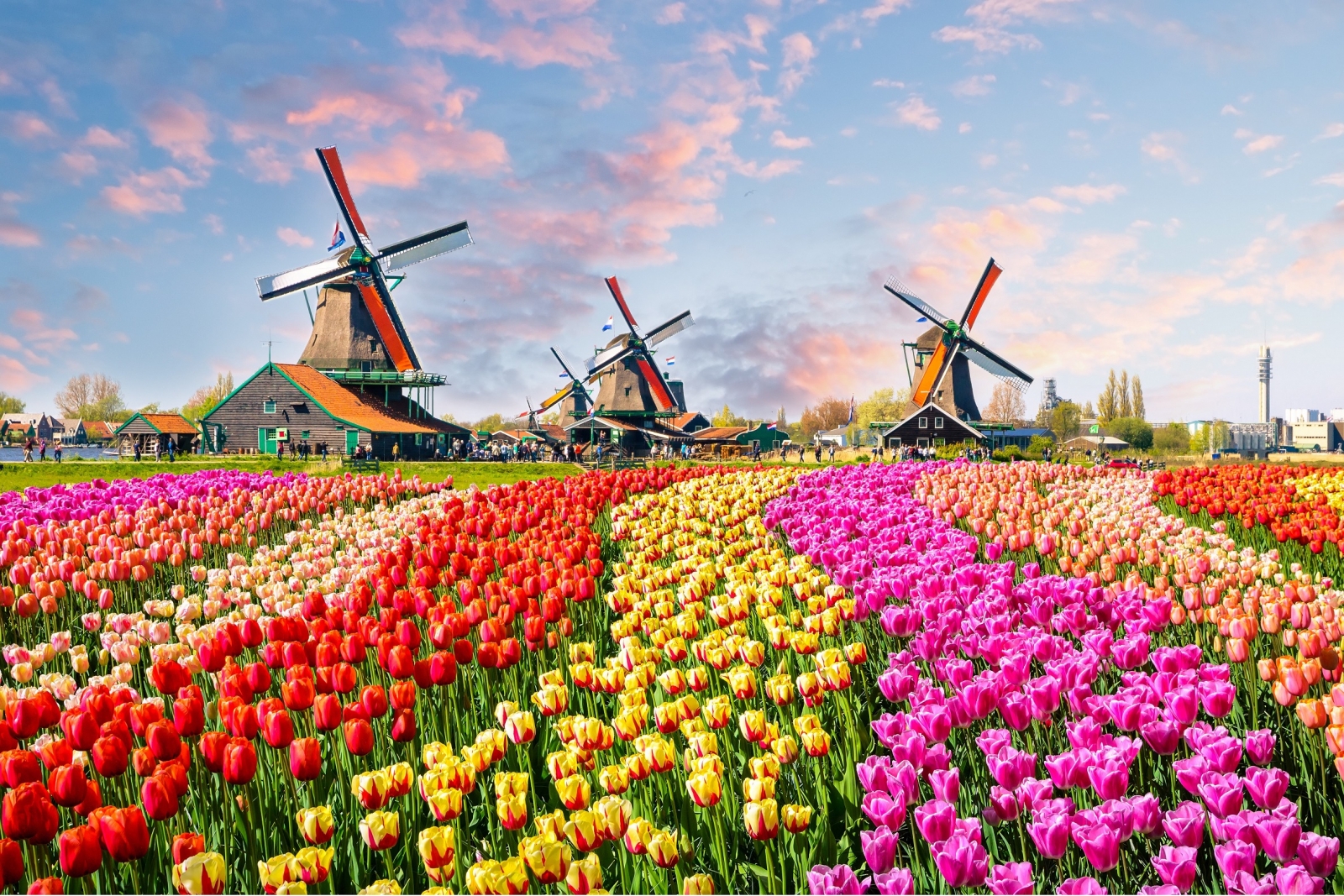 What is the fun in Europe?