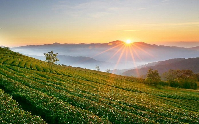 Things to know when buying and selling agricultural land