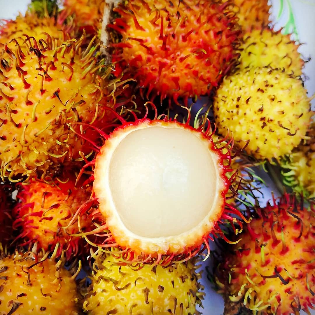 Longan rambutan