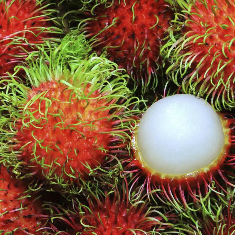 Thai rambutan