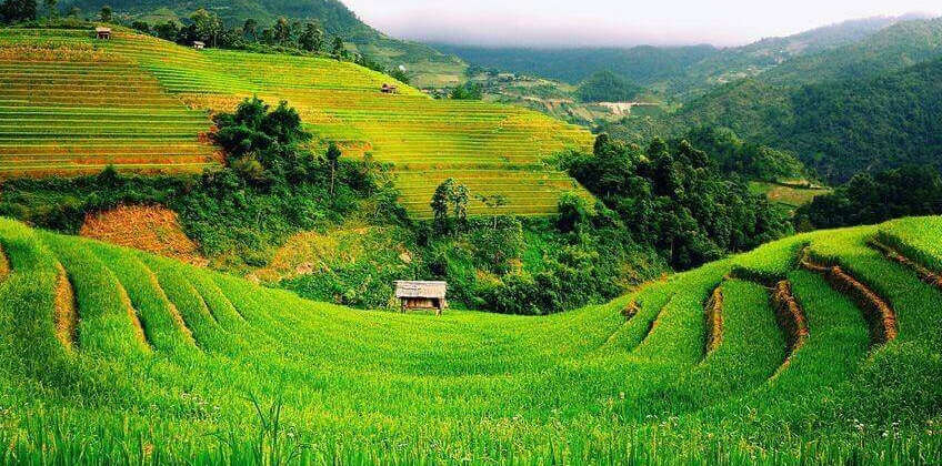 Important notes when investing in agricultural land
