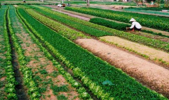 What are the requirements to buy and sell agricultural land?