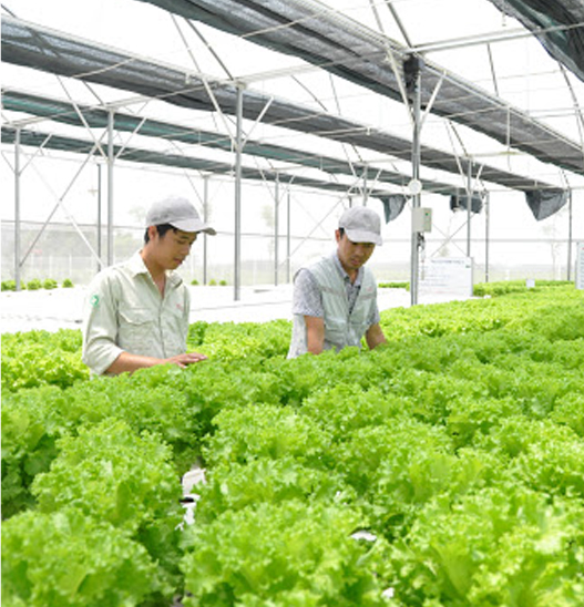 Farm model