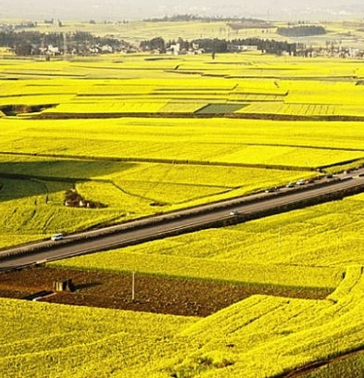 Agricultural land