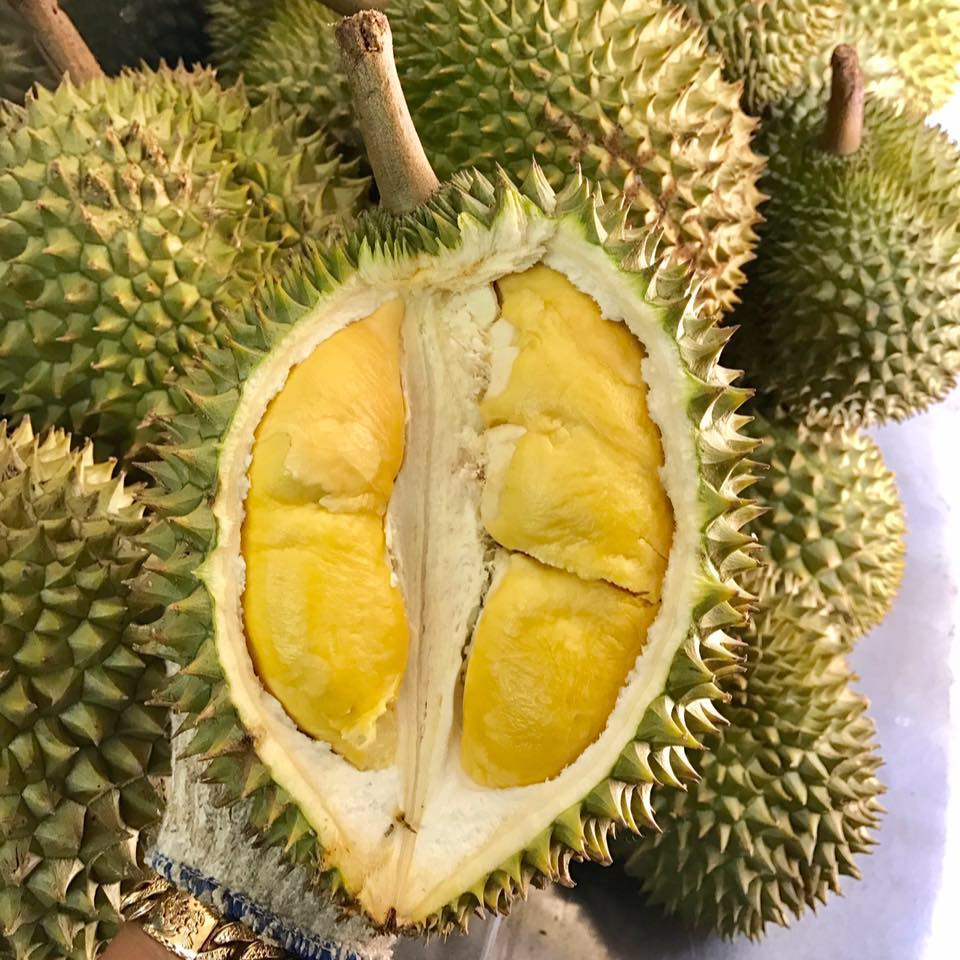 Durian Ri6