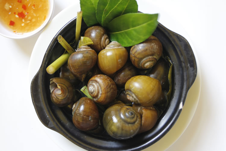 Ốc bưu hấp - nướng