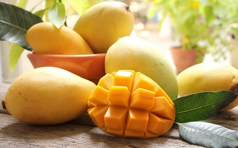 XOÀI TƯỢNG DA XANH SƠN LA LẦN ĐẦU TIÊN XUẤT SANG MỸ