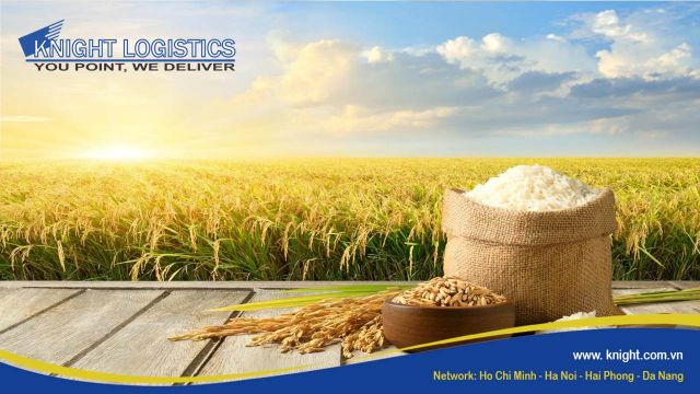 VIETNAM FOOD ASSOCIATION OFFICIAL SAYS NO IMMEDIATE PLAN TO CURB RICE EXPORTS