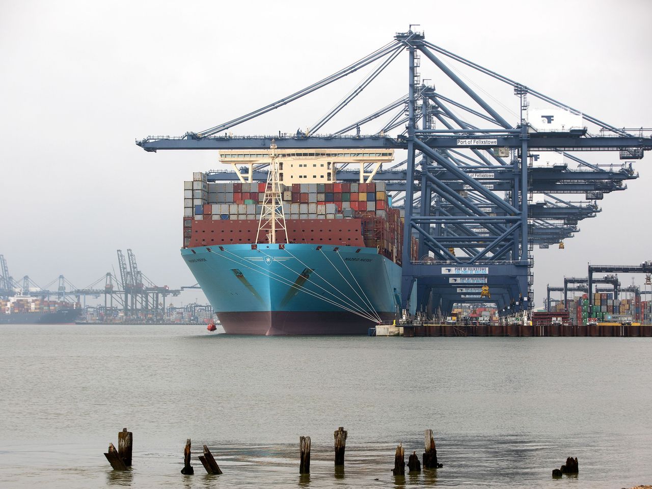 Khủng hoảng container rỗng có thể kéo dài đến cuối năm nay, giá container mới tăng vọt