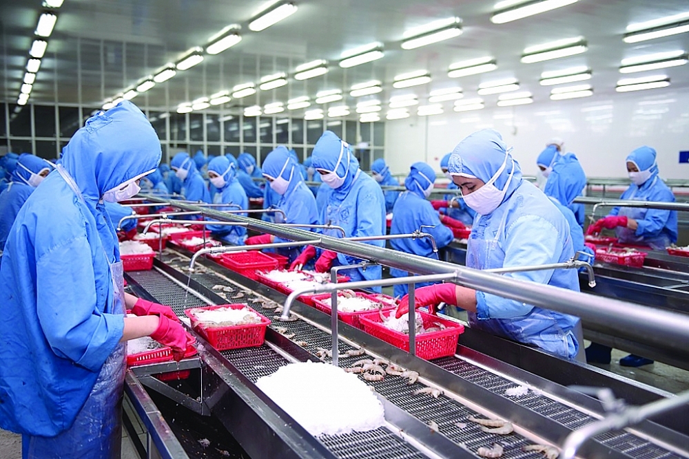 Chế biến tôm xuất khẩu tại Công ty CP Thực phẩm Sao Ta