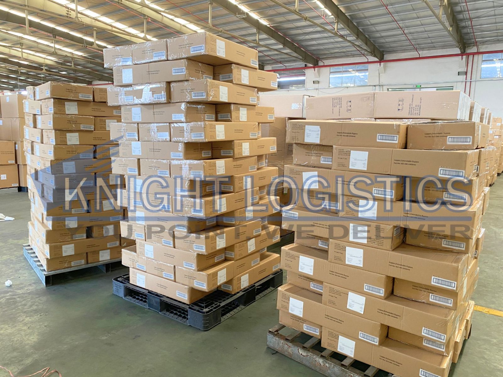 Expertly Packed, Precisely Labeled — Delivered Right On Time