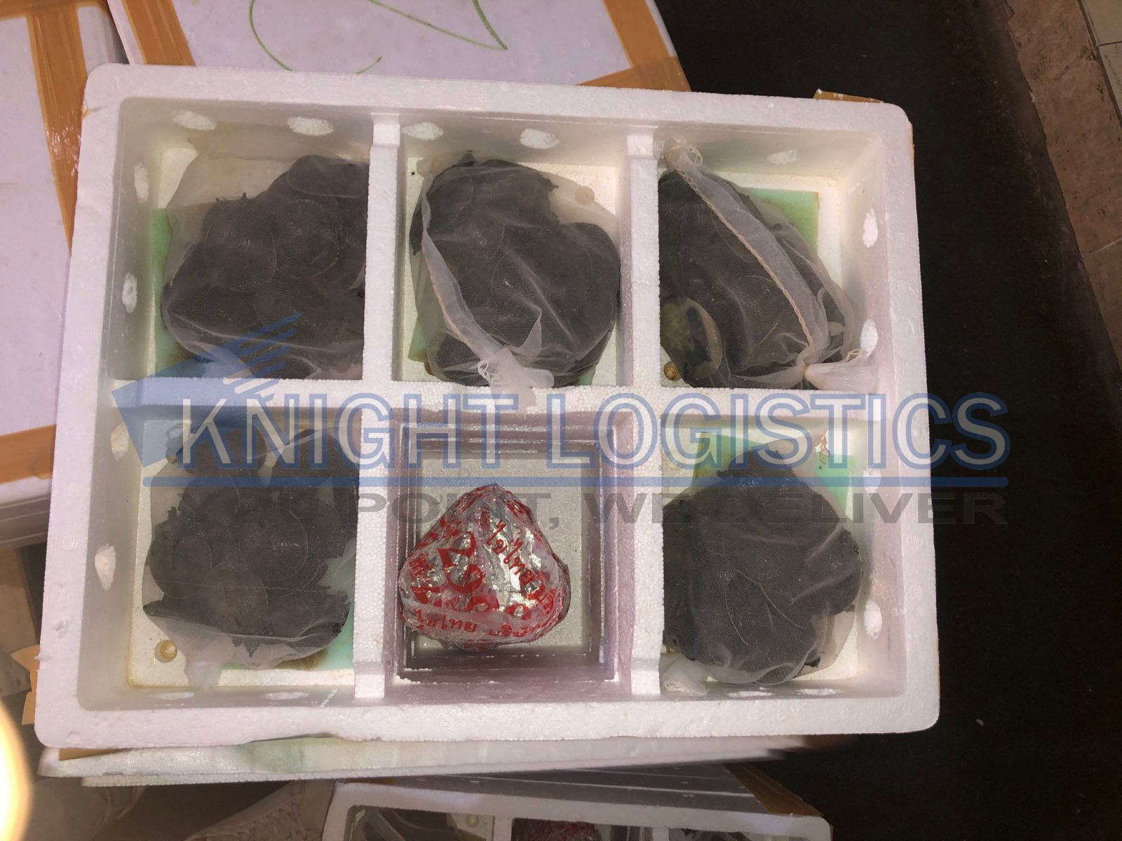 thủ tục nhập khẩu động vật sống
