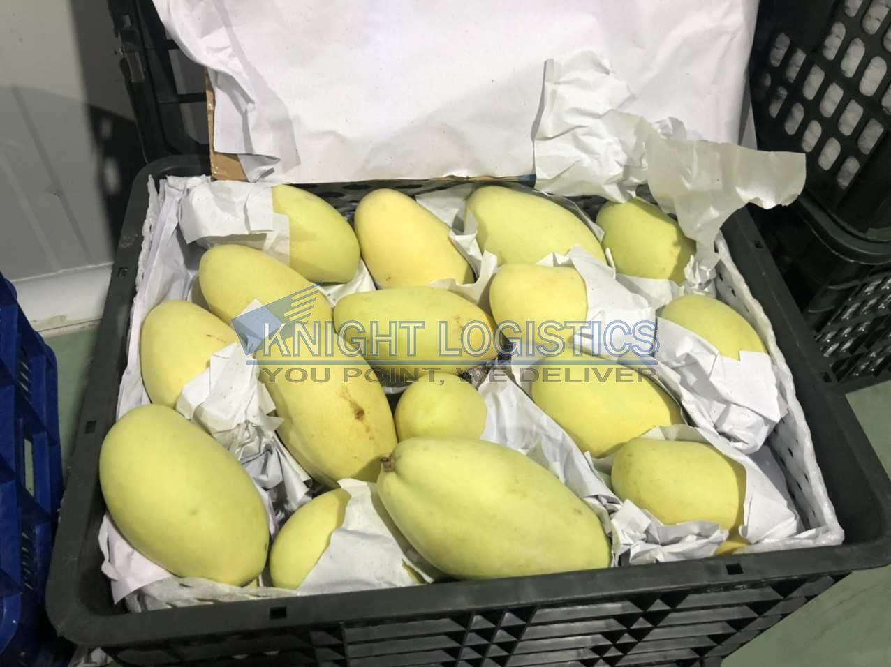 THỦ TỤC XUẤT KHẨU NÔNG SẢN MỚI NHẤT 2023