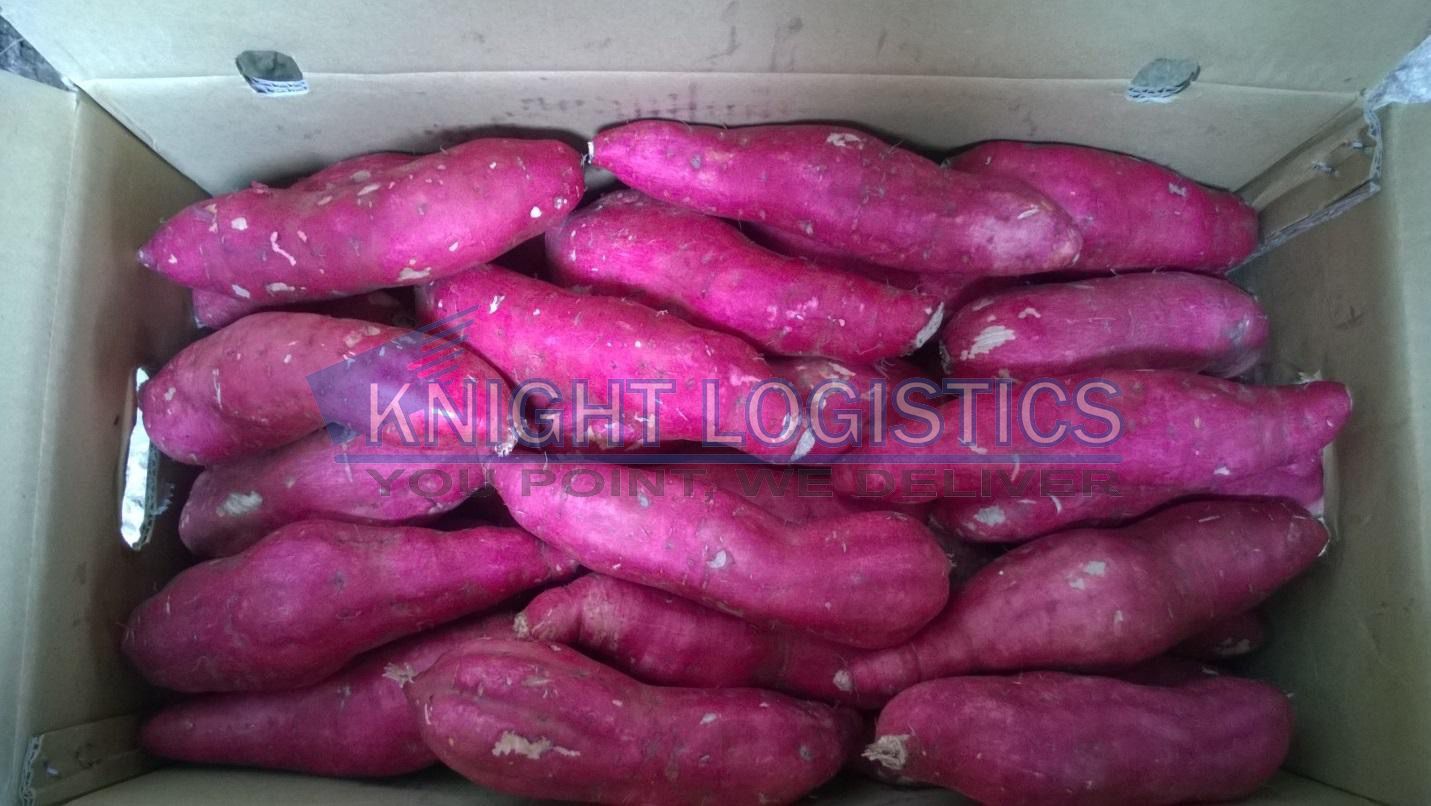 THỦ TỤC XUẤT KHẨU NÔNG SẢN MỚI NHẤT 2023