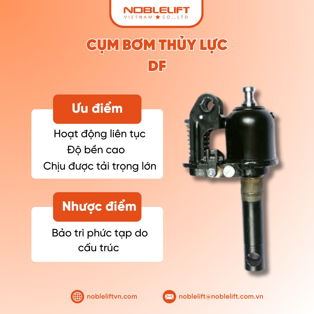 CỤM THỦ LỰC DF