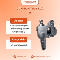 CỤM THỦ LỰC BF 