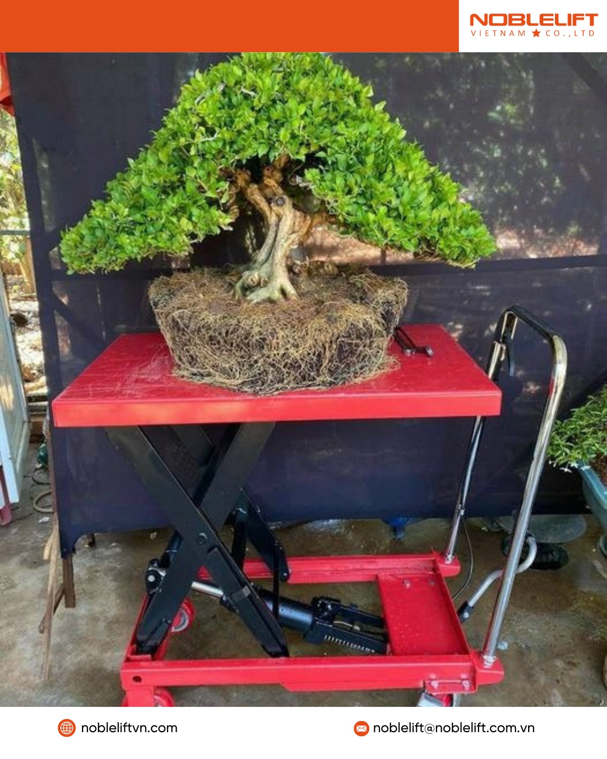 XE NÂNG MẶT BÀN TF30- 300KG